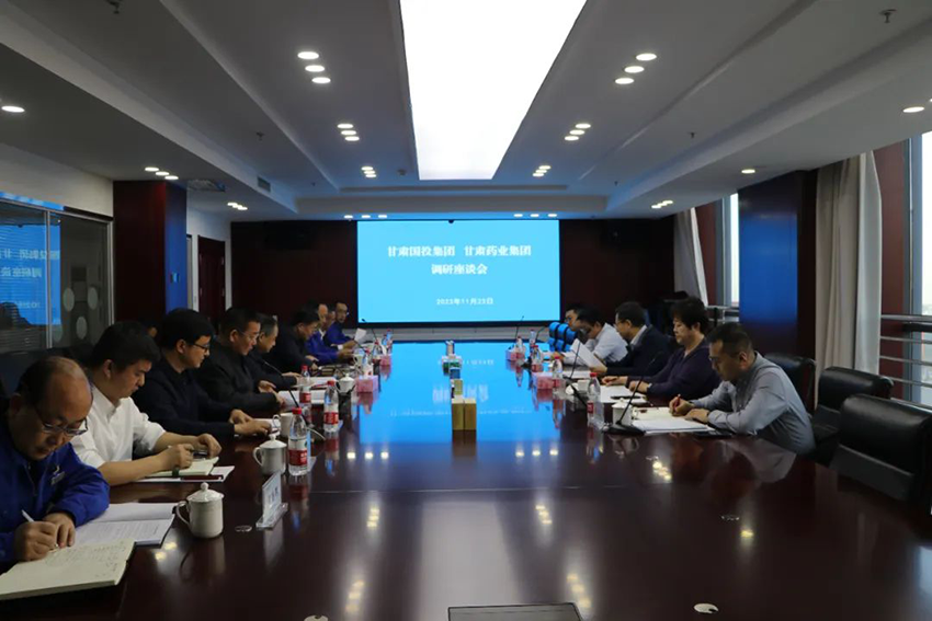 甘肅國投集團一行深入隴神戎發(fā)調(diào)研指導(dǎo)工作