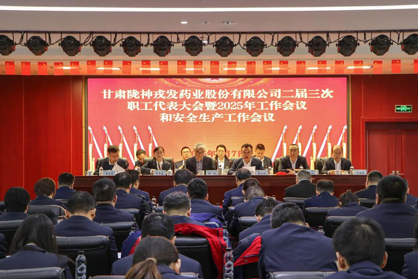 隴神戎發(fā)召開(kāi)二屆三次職代會(huì)暨2025年工作會(huì)議和安全生產(chǎn)工作會(huì)議