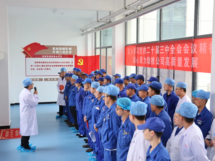 【普安新聞】黨建引領促發(fā)展，擔當實干開新篇——甘肅藥業(yè)集團普安制藥2024年黨建工作紀實