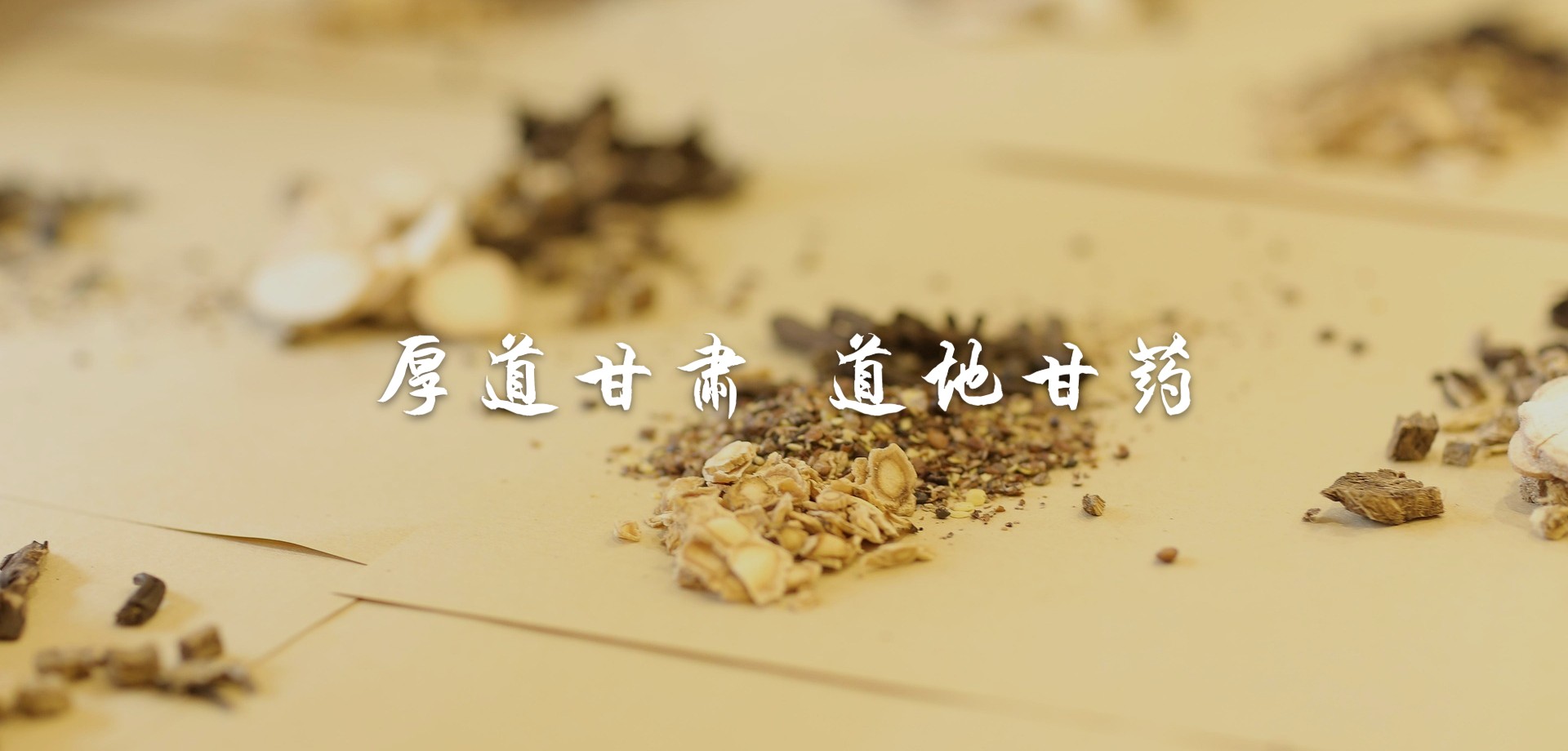 厚道甘肅 道地中藥